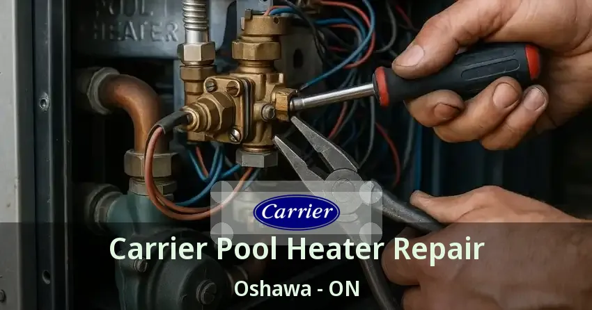 Carrier Pool Heater Repair Oshawa - ON